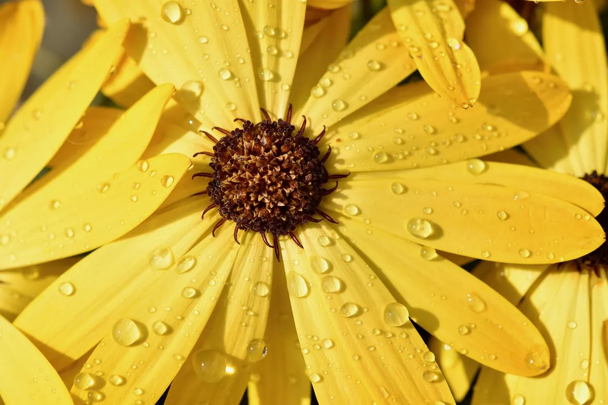 10 Common Mistakes When Recording Rainfall at Home